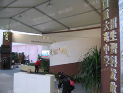 成都博達(dá)展覽展示服務(wù) 專業(yè)打造卓越展覽體驗